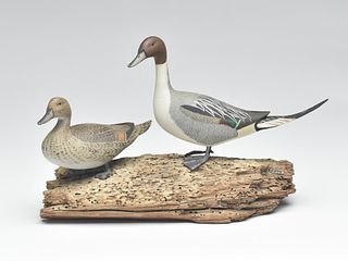 Pair of 1/3 size standing pintails, Wendell Gilley, Southwest Harbor, Maine.