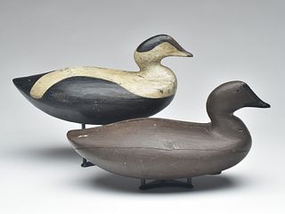 Pair of eiders by a member of the Wallace family, Smalls Point, Maine, 2nd quarter 20th century.