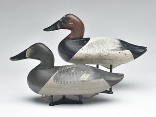 Pair of canvasbacks, Charlie Joiner, Chestertown, Maryland.