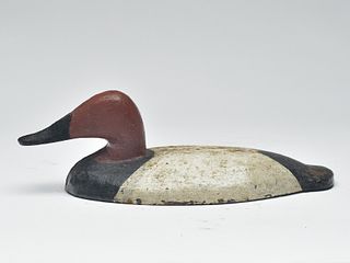 Canvasback wing duck from Maryland, 1st quarter 20th century