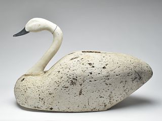Large cork body booting swan, Harry Jobes, Havre de Grace, Maryland.