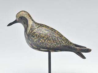 Thinly hollowed golden plover from Nantucket, Massachusetts, last quarter 19th century.