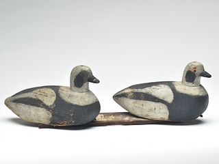 Two long tailed ducks from Massachusetts, 1st quarter 20th century.