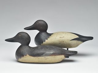 Rigmate pair of canvasbacks, Hays Decoy Factory, 2nd quarter 20th century.