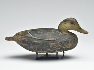 Very rare and exceptional black duck with carved wings and fluted tail, Ira Hudson, Chincoteague, Virginia, circa 1930s.