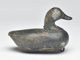 Rare and desirable ruddy duck, from the "Mary James Farm" rig, last quarter 19th century.