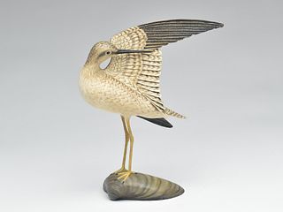 Preening yellowlegs perched on clam carved base, Frank Finney, Cape Charles, Virginia.