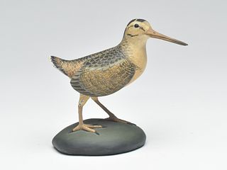 Miniature woodcock, Frank Finney, Cape Charles, Virginia.