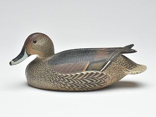 Pintail hen, Ward Brothers, Crisfield, Maryland.