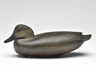 Early tucked head black duck, John English, Bordentown, New Jersey, last quarter 19th century.