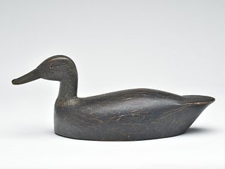 Black duck, William Chrysler, Bellville, Ontario, 2nd quarter 20th century.