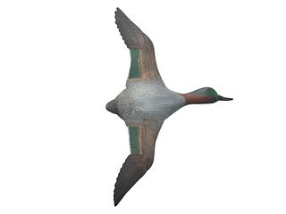 An early full body flying greenwing teal, Frank Finney, Cape Charles, Virginia.