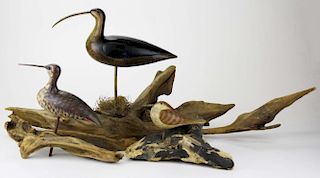 3 carved wooden shore birds mtd on driftwood, bird lengths 6.5”- 14”