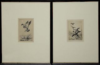 Two etchings signed Roland Clark (Am 1874-1957) of jacking teal and 4 flushing pintail. 3"x5", 3¼"x4