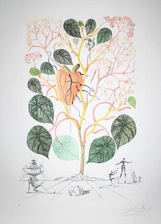 Salvador Dali - Anacardium recordans (Begonia Le Coeur)