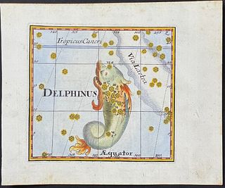 Thomas - Constellation: Dolphin / Delphinus