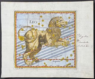 Thomas - Constellation: Lion / Leo
