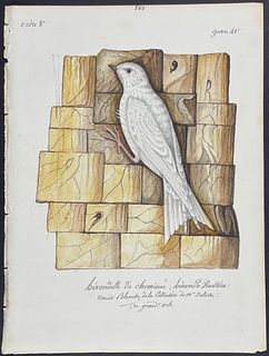 Delattre, Original Watercolor - Swallow