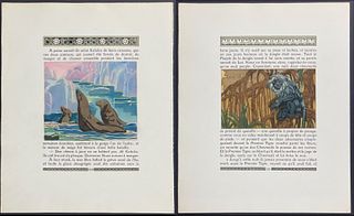 Kipling & Becque - 10 Jungle Book Illustrated Pages