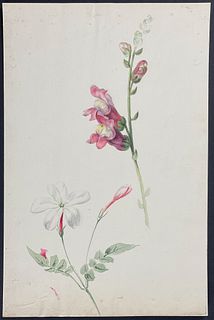 Original Botanical Watercolor