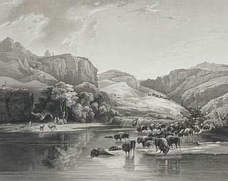 Karl Bodmer - Bisons on the Missouri River. 47