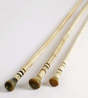 Collection of Three Antique Vertebrae Walking Sticks, 19th Century
