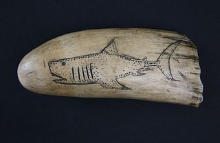 Antique Scrimshaw Whale Tooth, 19th Century, Engraved with a Shark