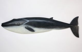 Carved and Painted Finback Whale By Captain Mike Orbe