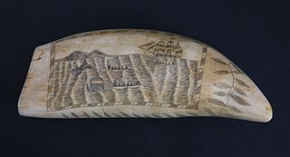 Large Scrimshaw Antique Sperm Whale Tooth, 19th Century