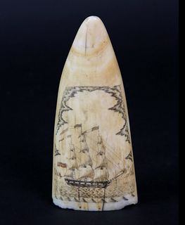 Scrimshaw Antique Sperm Whale Tooth, circa 1850