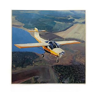 Peter Munro Plane Over Canadian Forest Painting