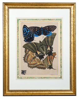 Emile-Allain Séguy (1877-1951) 'Papillons' Plate No. 6