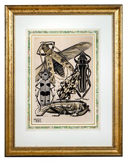 Emile-Allain Séguy (1877-1951) 'Insectes' Plate No. 3