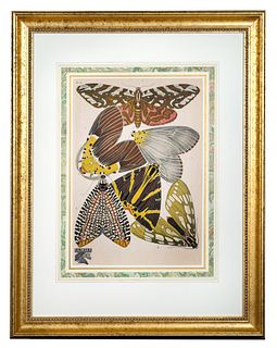 Emile-Allain Séguy (1877-1951) 'Papillons' Plate No. 14