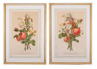 Pair of Rose and Iris Botanical Prints after Jean Louis Prévost 