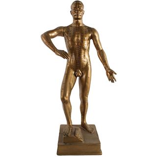 Full Figure Nude Male Acupuncture Model