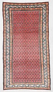 Antique Persian Kurd Rug: 5'4" x 9'9" (163 x 297 cm)