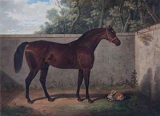 * Artist Unknown, (19th century), Portrait of a Horse with Rabbit