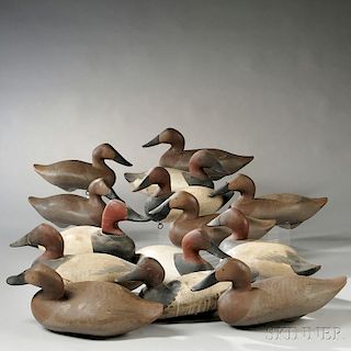 Fourteen Canvasback Duck Decoys