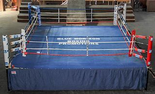 The Blue Horizon Boxing Ring w/Skins