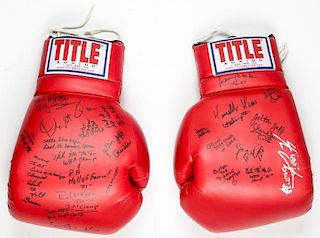 Large Scale Blue Horizon Notables Signed Gloves