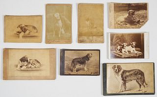 Cabinet Cards of Dogs (American, 19th Century)