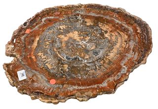 Round Petrified Wood Slab