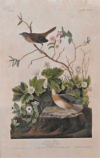 John James Audubon (American, 1785 - 1851)
