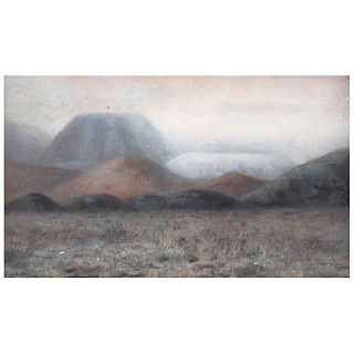 PILAR CASTAÑEDA, Cordilleras I, Firmado, Óleo sobre tela, 90 x 150 cm