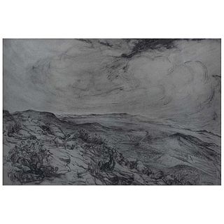 LUIS NISHIZAWA, Sin título, Firmada y fechada 49, Tinta y lápiz de grafito sobre papel, 33 x 49 cm