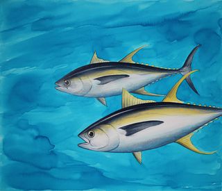 Chris Calle (B 1961) "Yellow-Fin Tuna" Watercolor
