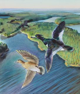 Ivan Kozlov (B. 1937) "Tufted Duck" Watercolor