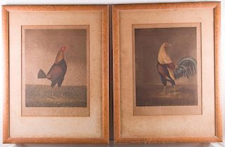 "War" and "Peace" Rooster Aquatints