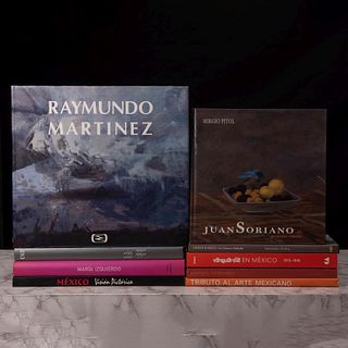 Libros sobre Arte. Raymundo Martínez / María Izquiero. Una Verdadera Pasión por el Color. Piezas: 9.
